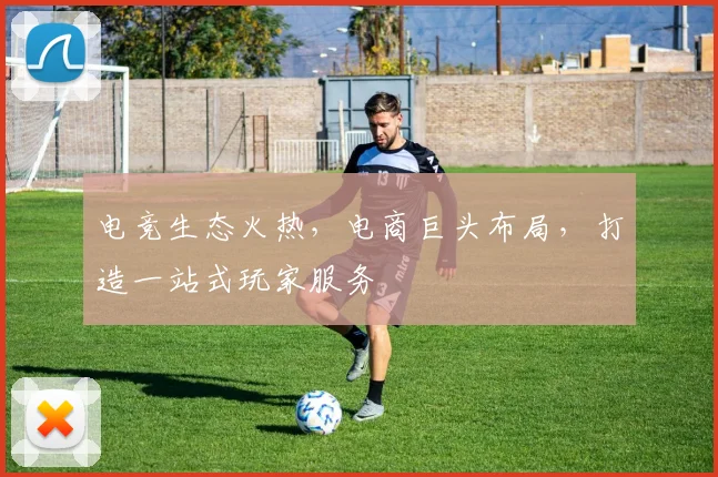 电竞生态火热，电商巨头布局，打造一站式玩家服务